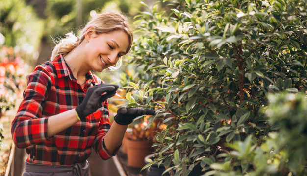 jardinería en Cerdanyola del Vallés