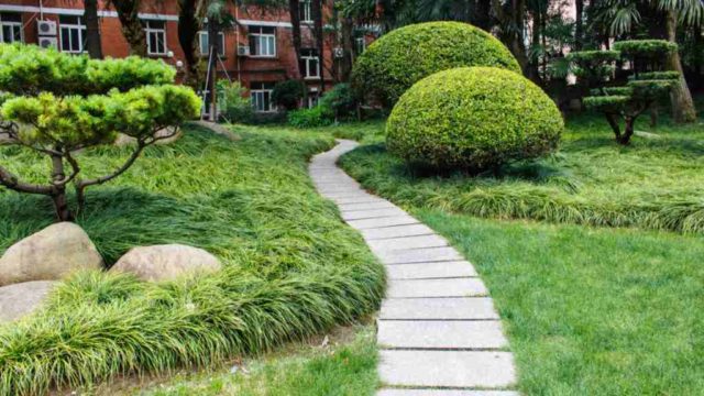 Empresas de jardineria Valencia